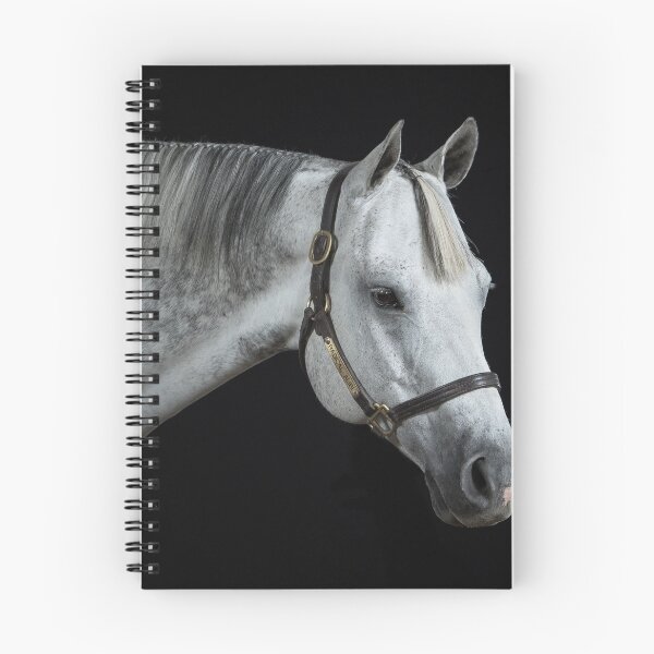 Item preview, Big Grey I designed and sold by HiddenRockRanch.