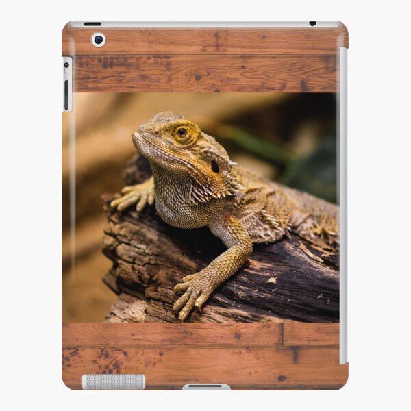 Cute Dragon Wallpapers iPad Cases & Skins for Sale