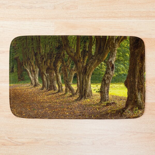 Item preview, Twisted trees growing along the path. autumn climate. designed and sold by HausmannArt.