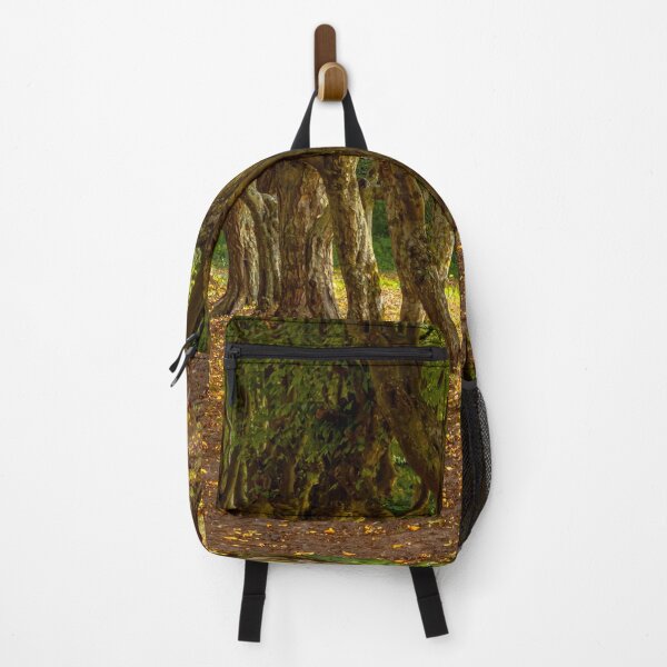 Item preview, Twisted trees growing along the path. autumn climate. designed and sold by HausmannArt.