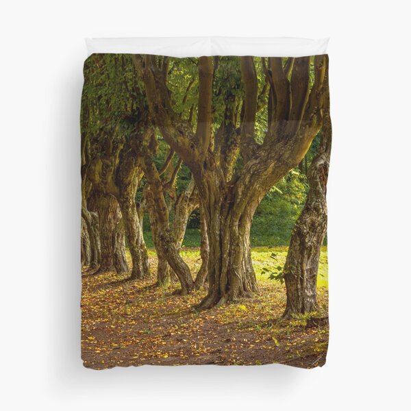 Item preview, Twisted trees growing along the path. autumn climate. designed and sold by HausmannArt.
