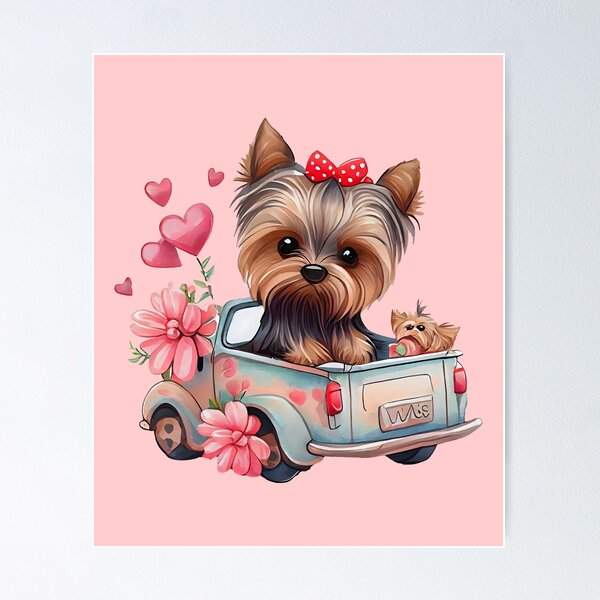 Cute Teacup Yorkie Puppy, My Dog is my Valentine, Yorkie puppies