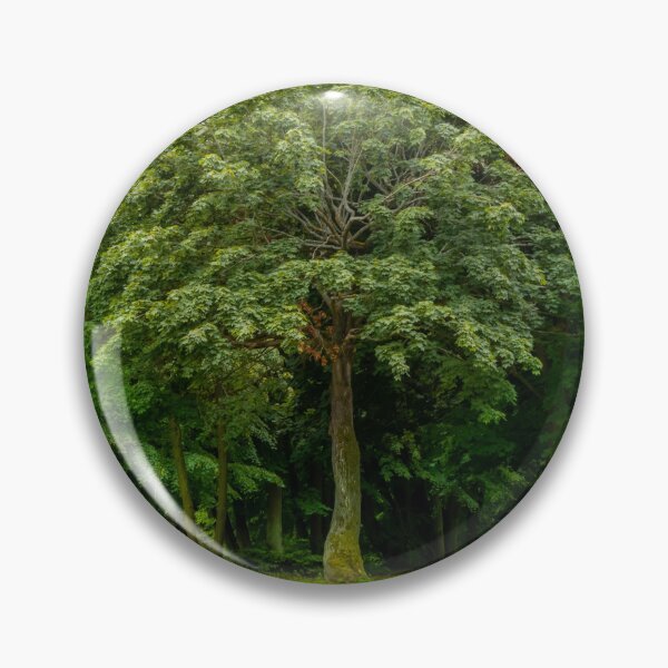 Item preview, Tree in front of trees. park in fall. designed and sold by HausmannArt.