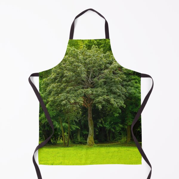 Item preview, Tree in front of trees. park in fall. designed and sold by HausmannArt.
