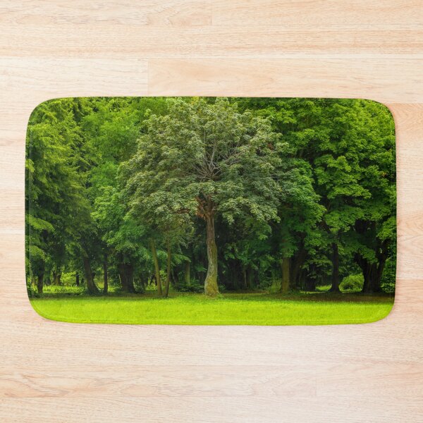 Item preview, Tree in front of trees. park in fall. designed and sold by HausmannArt.