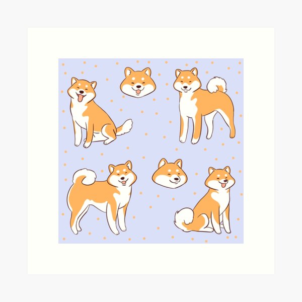 Curious Dog Shiba Inu Cute Doggo