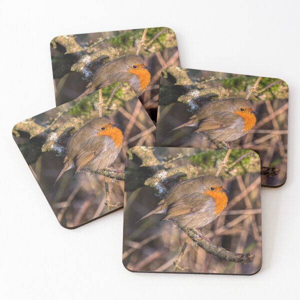 Item preview, European Robin  designed and sold by derekbeattie.