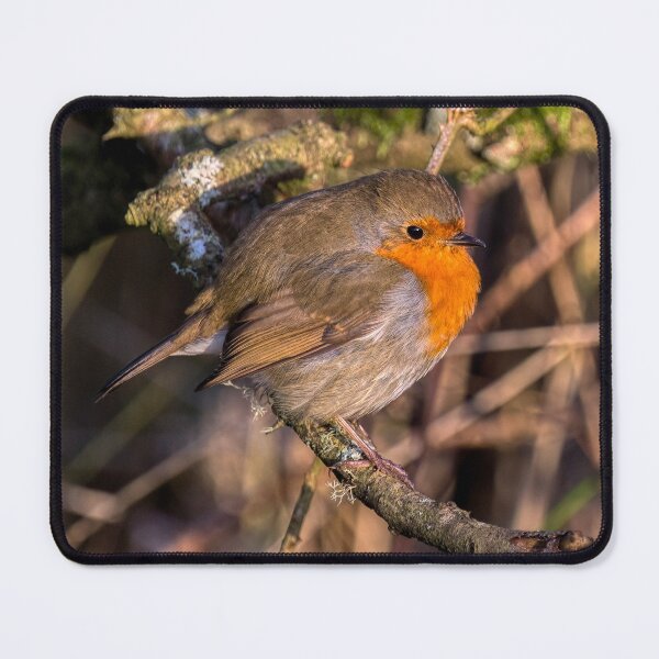 Item preview, European Robin designed and sold by derekbeattie.