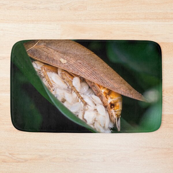 Item preview, A beautiful forest cockroach (Ectobius sylvestris) with its brood designed and sold by AvonPerception.