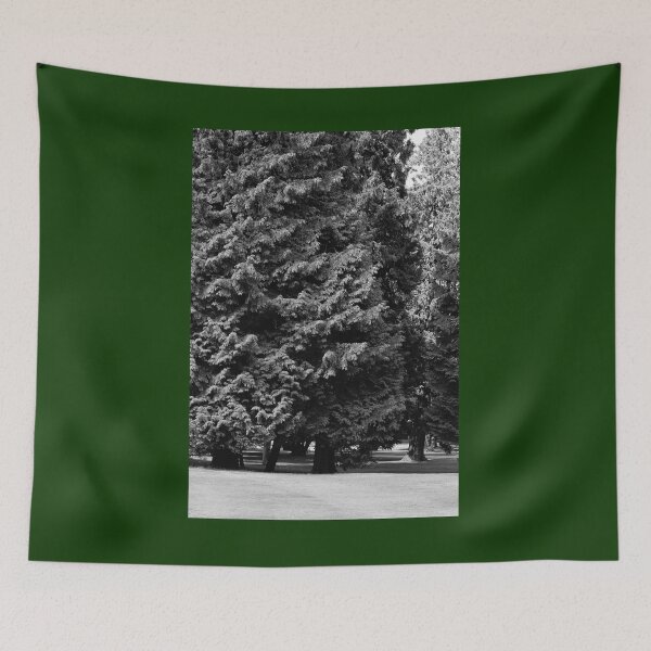 Item preview, Big Trees in the Park Vertical bw designed and sold by eddiebarronshop.