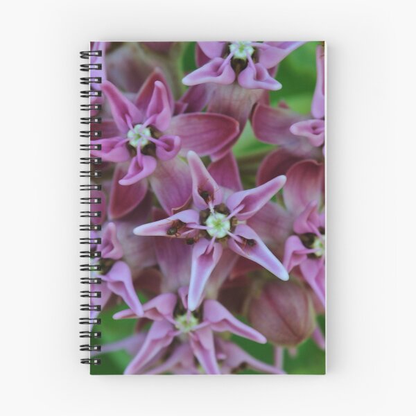 Item preview, Showy Milkweed designed and sold by PlaidPancakes.