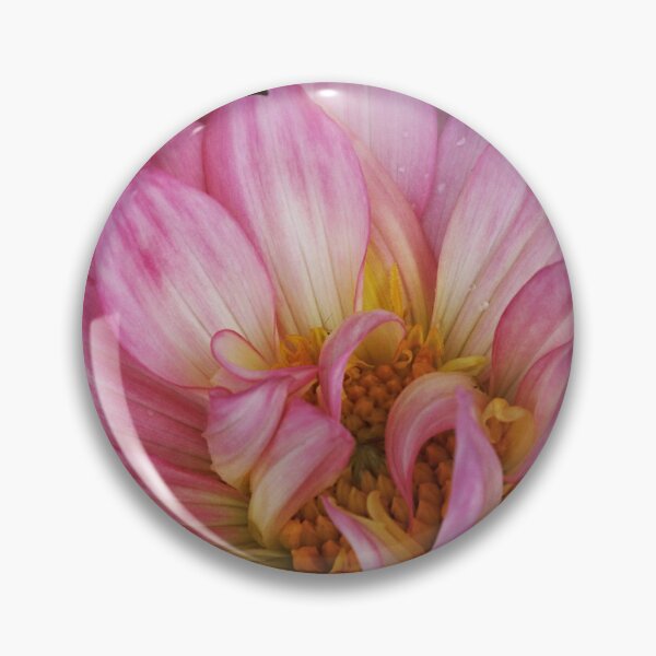 Item preview, Dahlia - Sincerity designed and sold by CotswoldCottage.