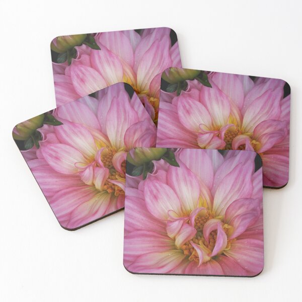 Item preview, Dahlia - Sincerity designed and sold by CotswoldCottage.