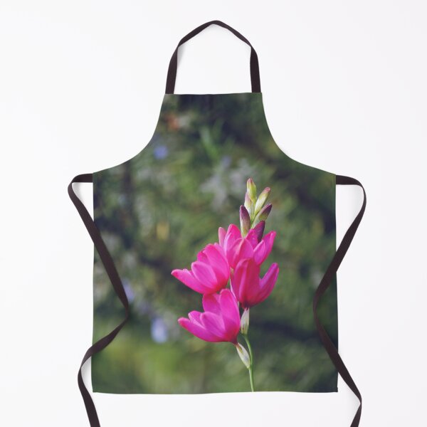 Item preview, Pink Ixia Maculata Corn Lily Flowers designed and sold by CarolinaReina.