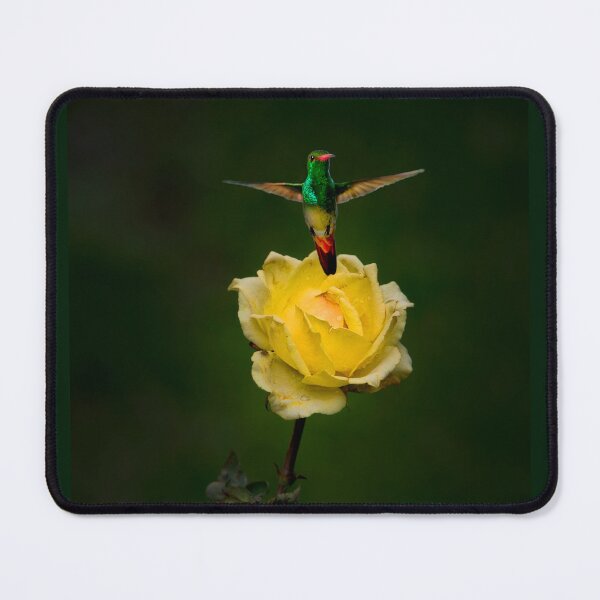 Item preview, The Beauty Of Freedom designed and sold by alabca.