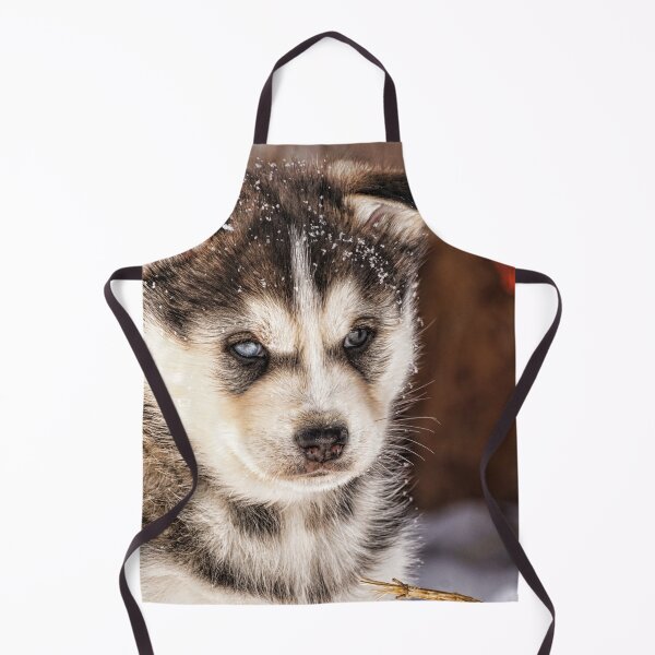 Item preview, Xavi designed and sold by joan manel zamora.