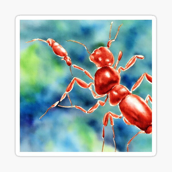 Item preview, Ant highly detailed watercolor painting designed and sold by DrawItOnce.