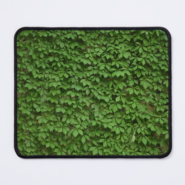 Item preview, summer foliage designed and sold by Claude Laprise.