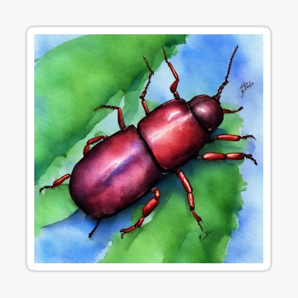 Item preview, Beetle highly detailed watercolor painting designed and sold by DrawItOnce.