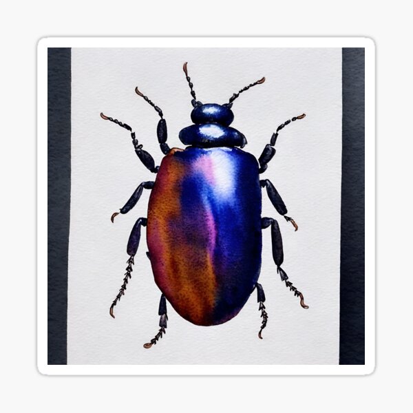 Item preview, Beetle highly detailed watercolor painting designed and sold by DrawItOnce.