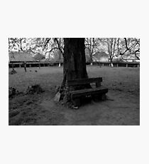 Broomstick Photographic Print