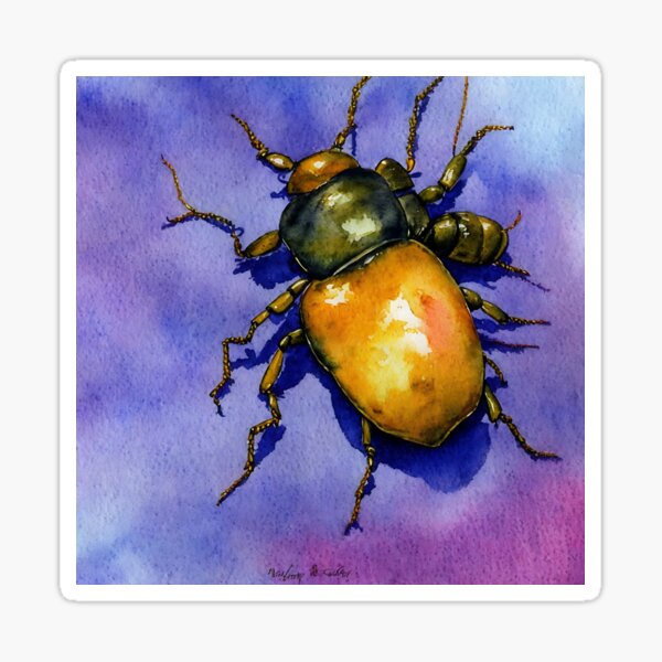Item preview, Beetle highly detailed watercolor painting designed and sold by DrawItOnce.