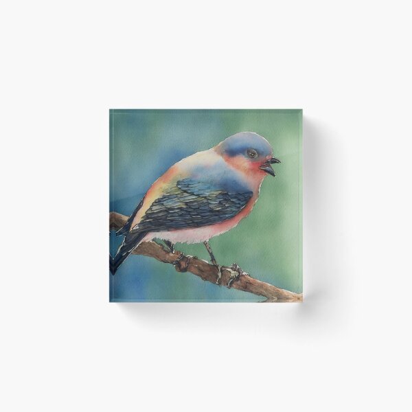 Artikelvorschau, Bird highly detailed watercolor painting entworfen und verkauft von DrawItOnce.