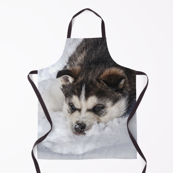 Item preview, Xavi designed and sold by joan manel zamora.