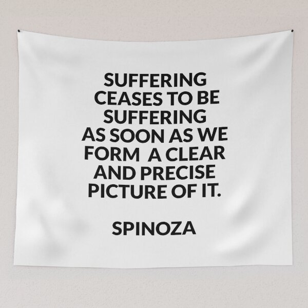 Item preview, Philosophical quotes about life - Spinoza on suffering designed and sold by Inspirationmotivation.