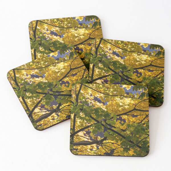 Item preview, Backlit Autumn Fall Leaves designed and sold by neandercol.
