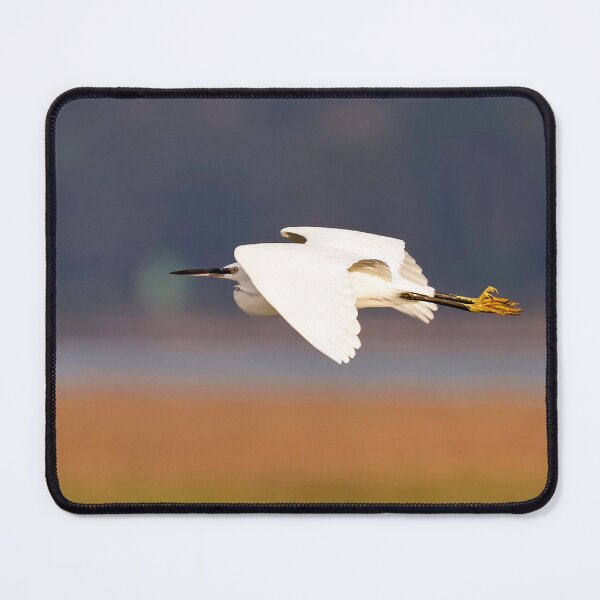 Item preview, Little Egret in Flight designed and sold by derekbeattie.