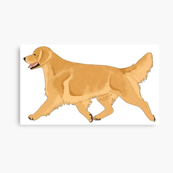 ukc golden retriever