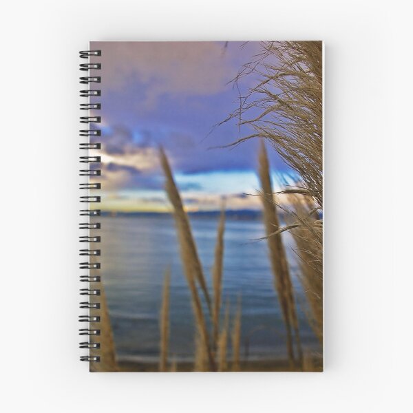 Item preview, San Francisco Bay Brush designed and sold by Kimikaa.