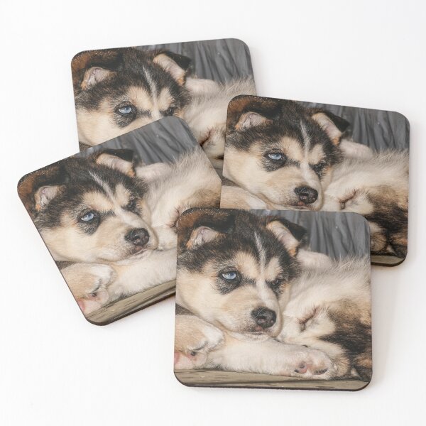 Item preview, Xavi and Saly designed and sold by joan manel zamora.