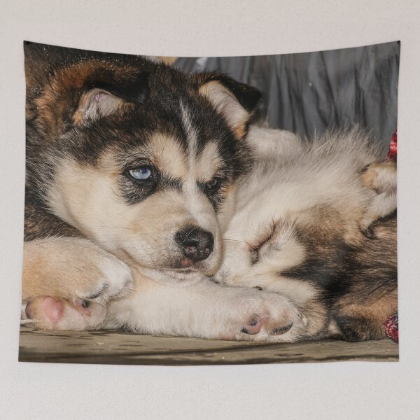 Item preview, Xavi and Saly designed and sold by joan manel zamora.