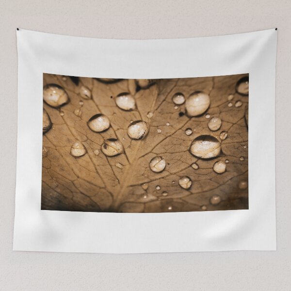 Item preview, droplets on leaf designed and sold by bojkE.