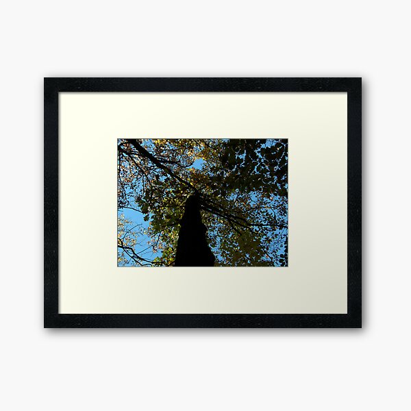 Looking Through Autumn Leaves Framed Art Print