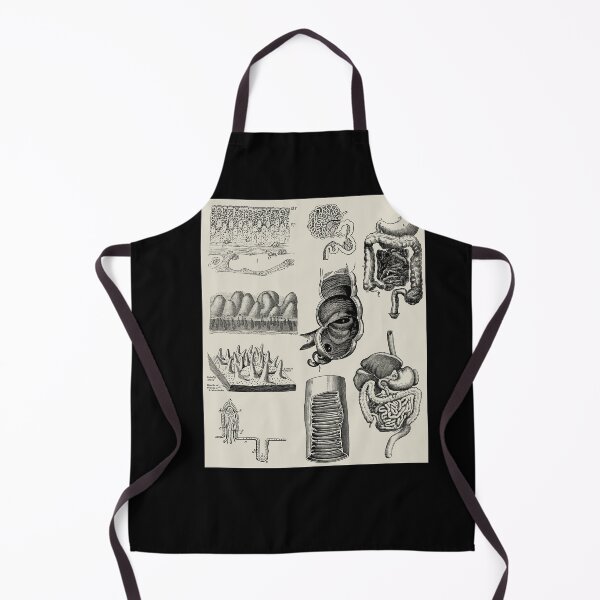 Item preview, Vintage human anatomy of Gastrointestinal tract designed and sold by Preslava Genova.