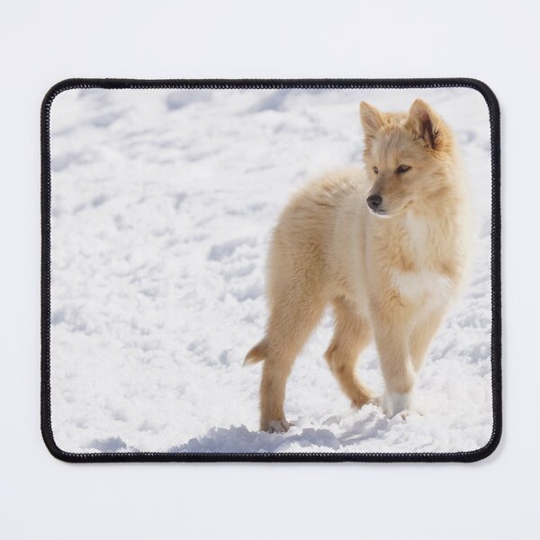 Item preview, puppy designed and sold by joan manel zamora.