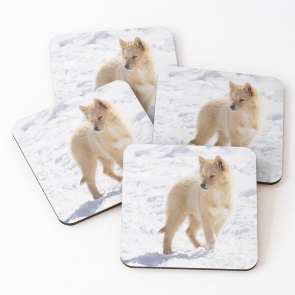 Item preview, puppy designed and sold by joan manel zamora.
