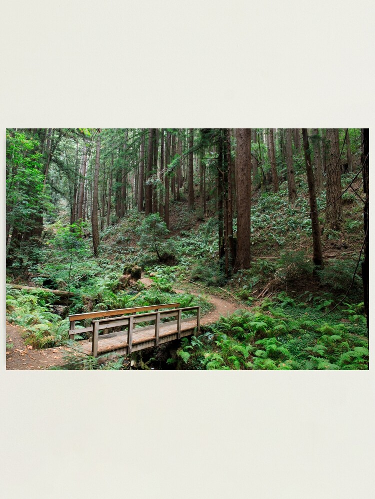 Chautauqua Trail Wooden Jigsaw Puzzle