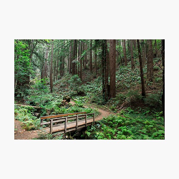 Item preview, Footbridge crossing creek at Purisima Creek Redwoods Preserve designed and sold by yhelfman.