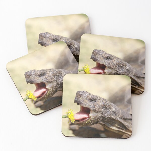 Item preview, California Desert Tortoise Eating Dandelion designed and sold by yhelfman.