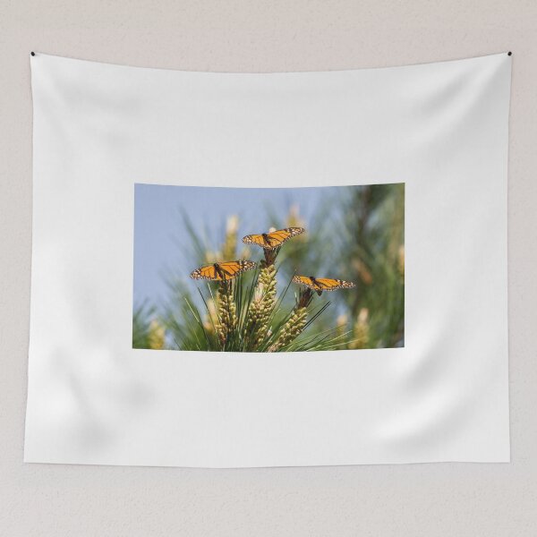 Item preview, Three Monarch Butterflies Sunbathing on Pine Tree designed and sold by yhelfman.