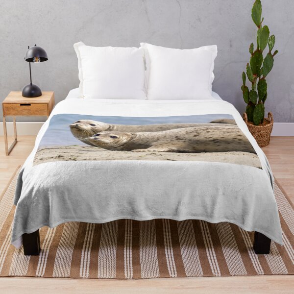 Item preview, Harbor Seals at Moss Landing State Beach, California designed and sold by yhelfman.