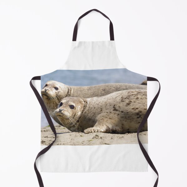 Item preview, Harbor Seals at Moss Landing State Beach, California designed and sold by yhelfman.