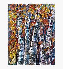 Autumn Aspen Trees With Palette Knife Photographic Print