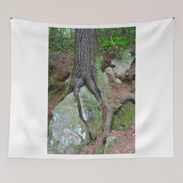 Item preview, Sheer Determination Vertical designed and sold by LisaWootenPhoto.