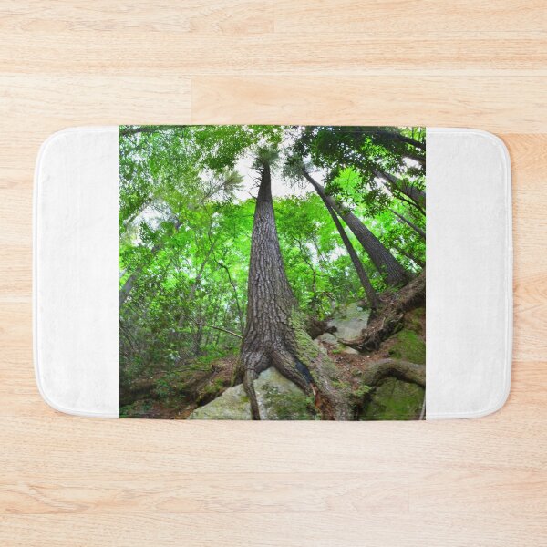 Item preview, Looking Up The Pines designed and sold by LisaWootenPhoto.