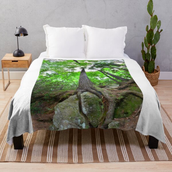 Item preview, Looking Up The Pines designed and sold by LisaWootenPhoto.
